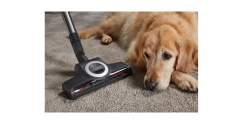Miele Complete C3 Cat&Dog PowerLine Bordeaux SGEF5 890 W Toz Torbalı Süpürge